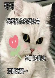 宁德果壳活性炭联系方式